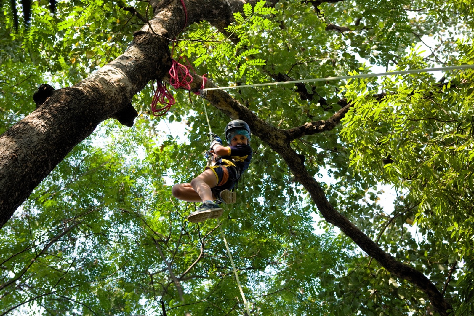 Healthy feels good - Discover practical tools for emotional wellness, physical vitality, and mental clarity. Learn what works, what doesn’t, and how to build habits that help you thrive.